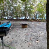 Review photo of Fort De Soto Campground by Burton M., June 29, 2021