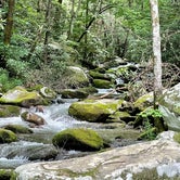 Review photo of Cosby Campground — Great Smoky Mountains National Park by Kara R., June 29, 2021
