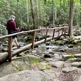 Review photo of Cosby Campground — Great Smoky Mountains National Park by Kara R., June 29, 2021