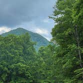 Review photo of Cosby Campground — Great Smoky Mountains National Park by Kara R., June 29, 2021