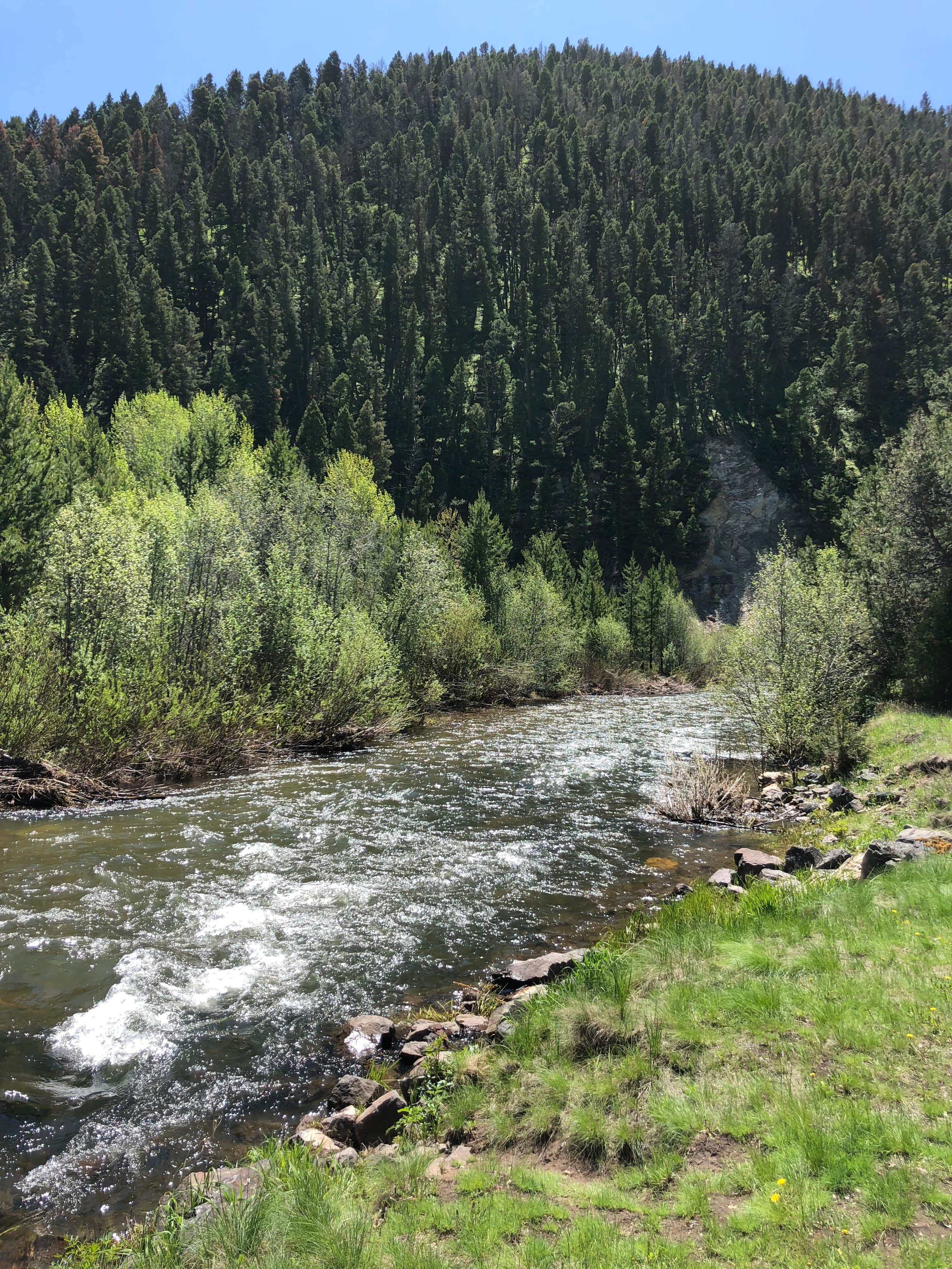 Camper submitted image from Aspen Grove Group Use Area (helena-lewis and Clark Nf, Mt) - 2