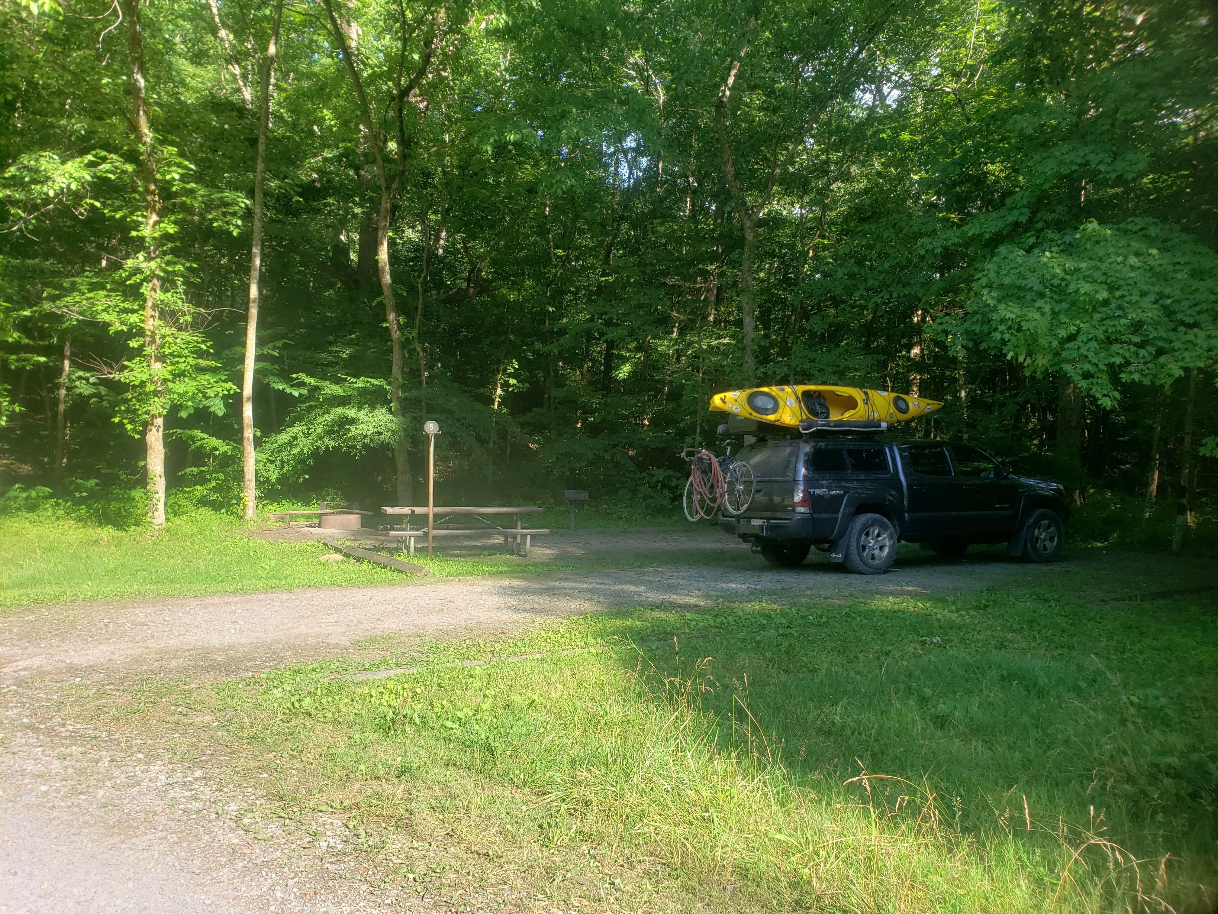 Camper submitted image from Army Camp — New River Gorge National Park and Preserve - 1