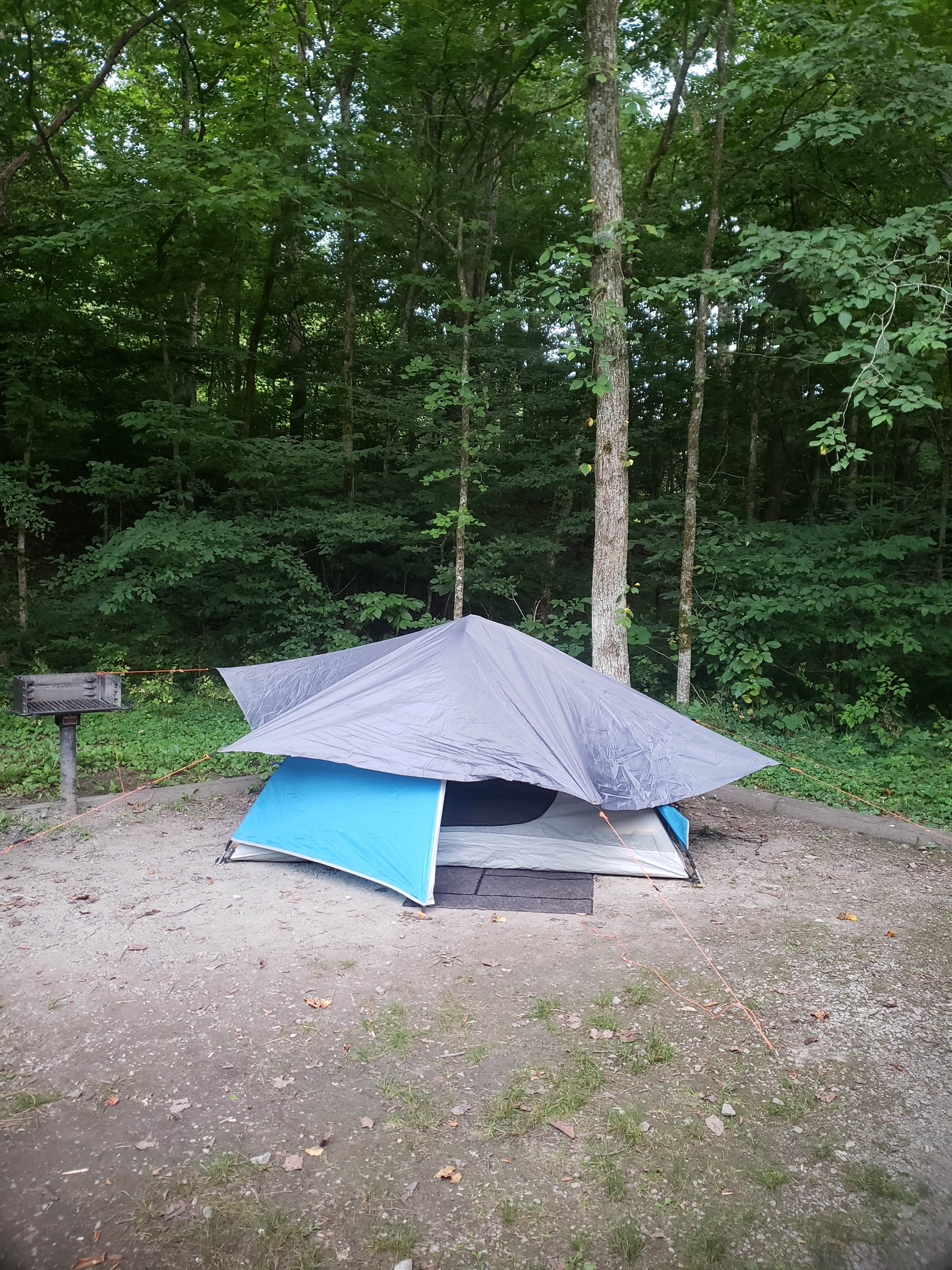 Tucker B.'s photo of a dispersed camping area at Army Camp — New River Gorge National Park and Preserve near Prince, WV