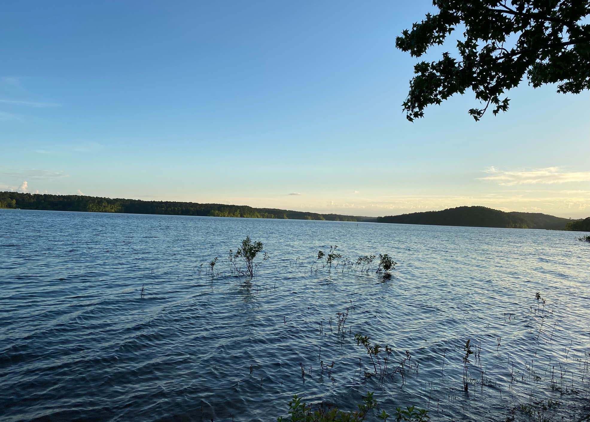 COE Degray Lake Edgewood Campground Camping The Dyrt