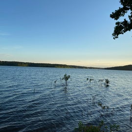 swim area at Degray Lake