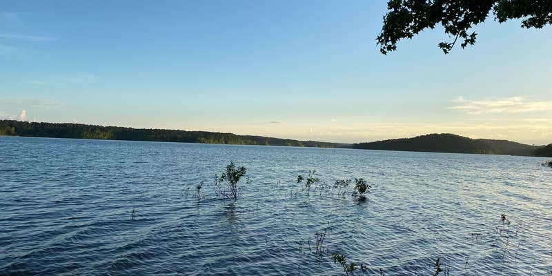 Camper submitted image from COE Degray Lake Edgewood Campground