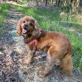 Review photo of COE Degray Lake Edgewood Campground by Cheri H., June 29, 2021