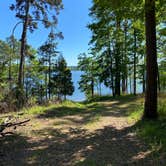 Review photo of COE Degray Lake Edgewood Campground by Cheri H., June 29, 2021