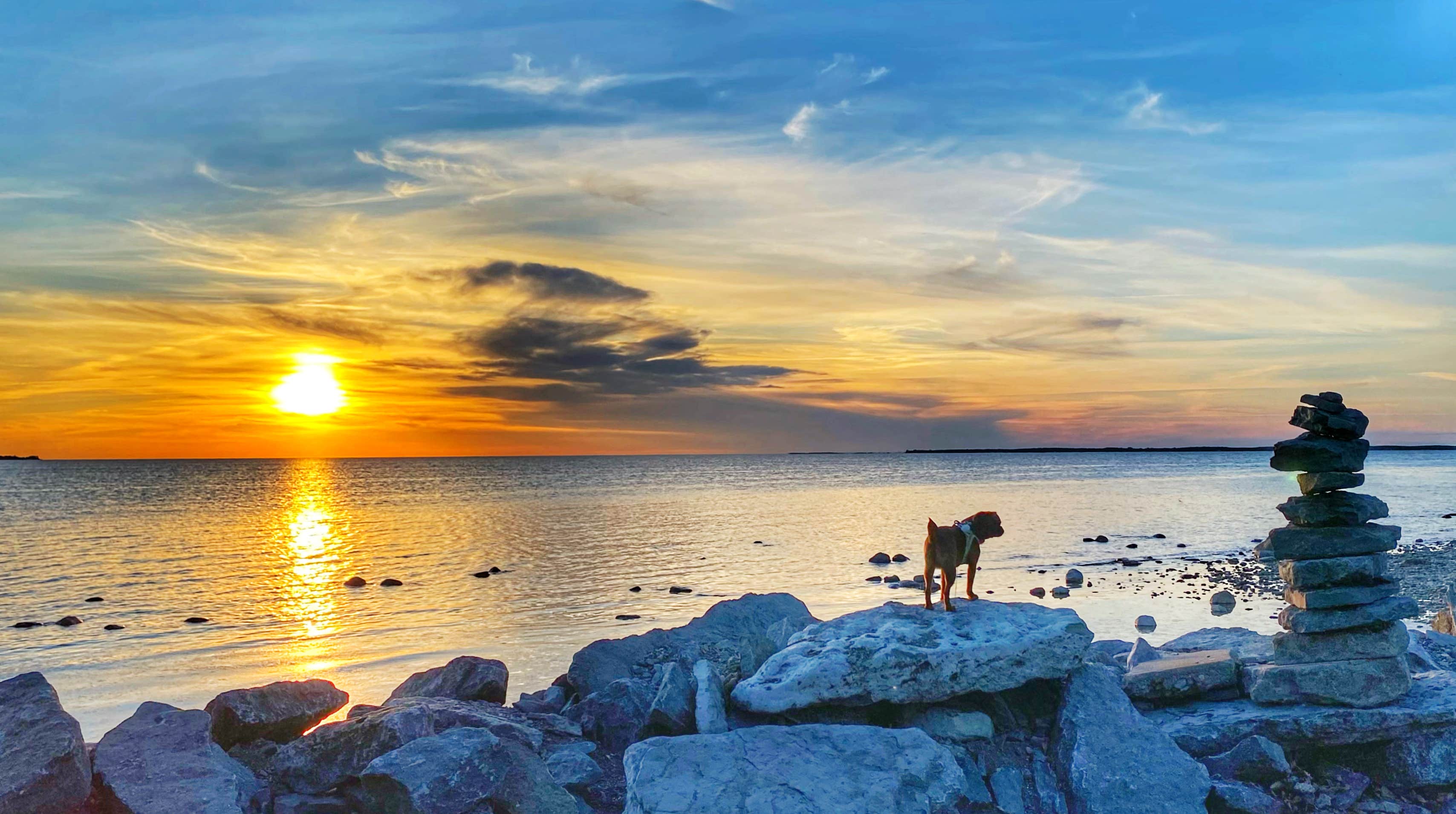 Tracey G.'s photo of camping with pets at Sun Outdoors Association Island near Lacona, NY