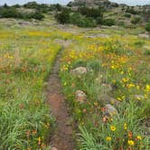 Review photo of Doris Campground by Cheri H., June 29, 2021