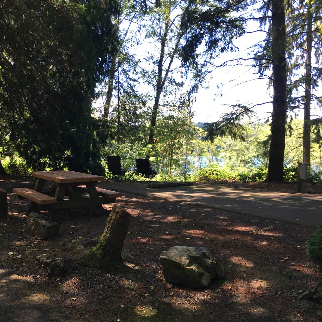 Mayfield Lake Park Camping The Dyrt