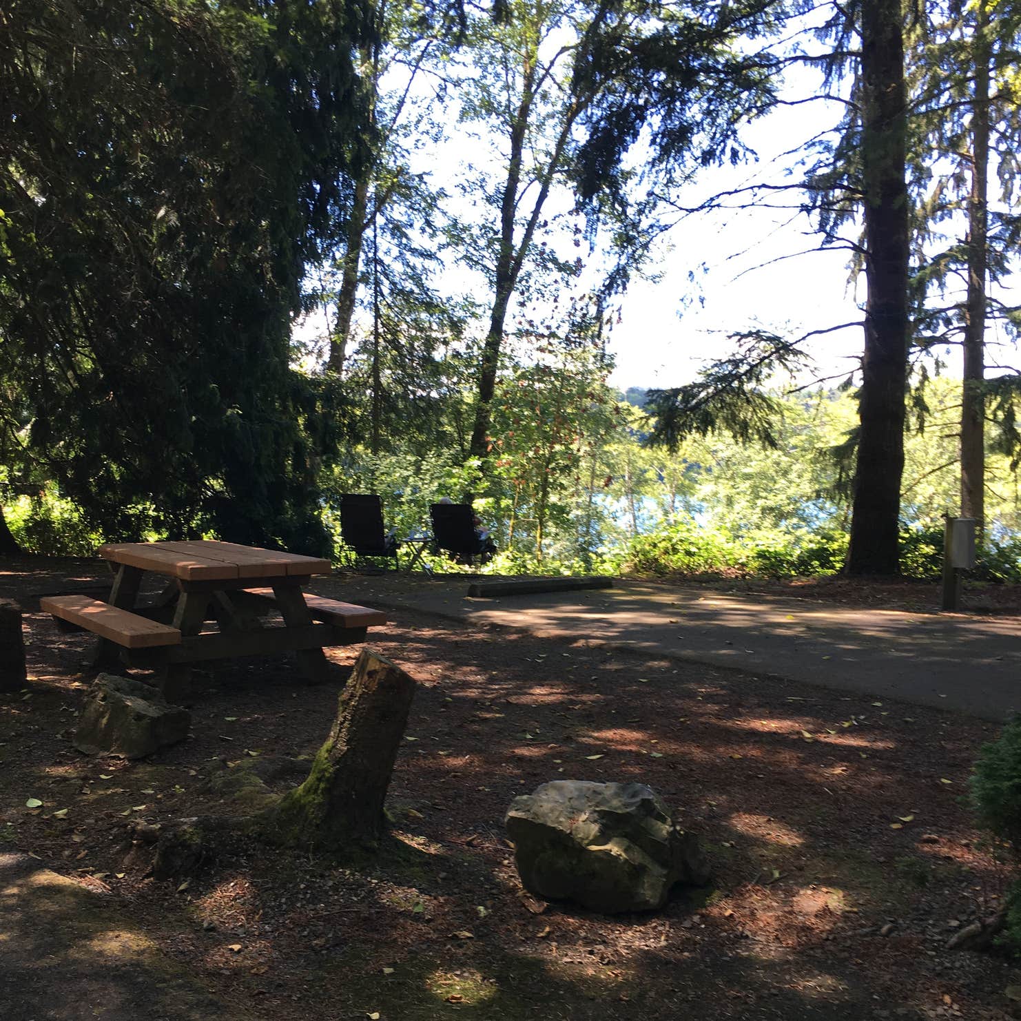 Mayfield Lake Park Camping The Dyrt