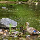 Review photo of Gettysburg Campground by Tracey G., June 29, 2021