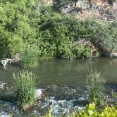 Review photo of Ayres Natural Bridge Park by Shannon G., June 29, 2021