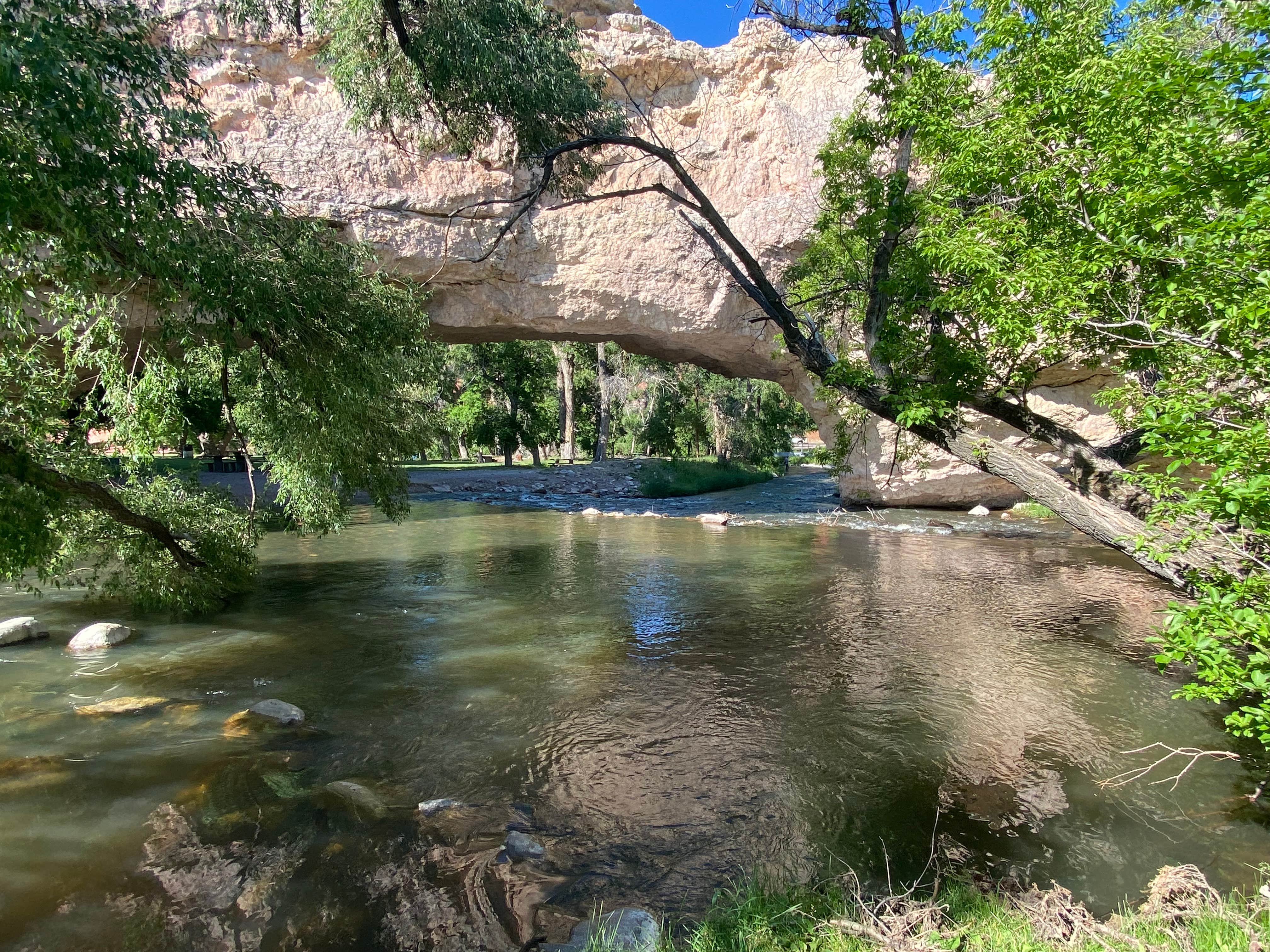 Camper submitted image from Ayres Natural Bridge Park - 4