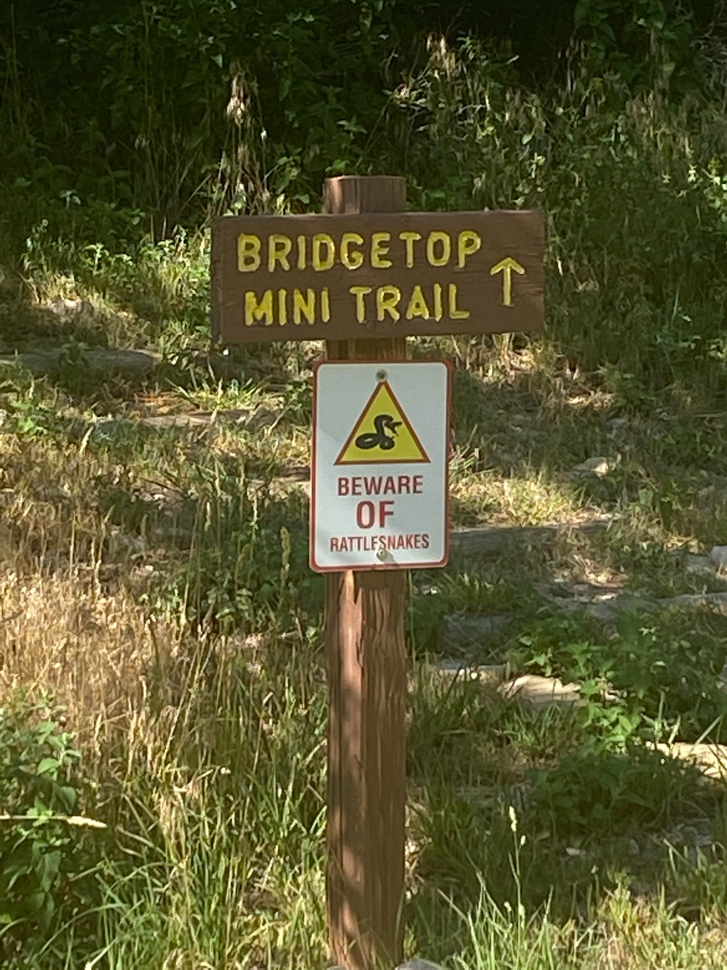 Camper submitted image from Ayres Natural Bridge Park - 3