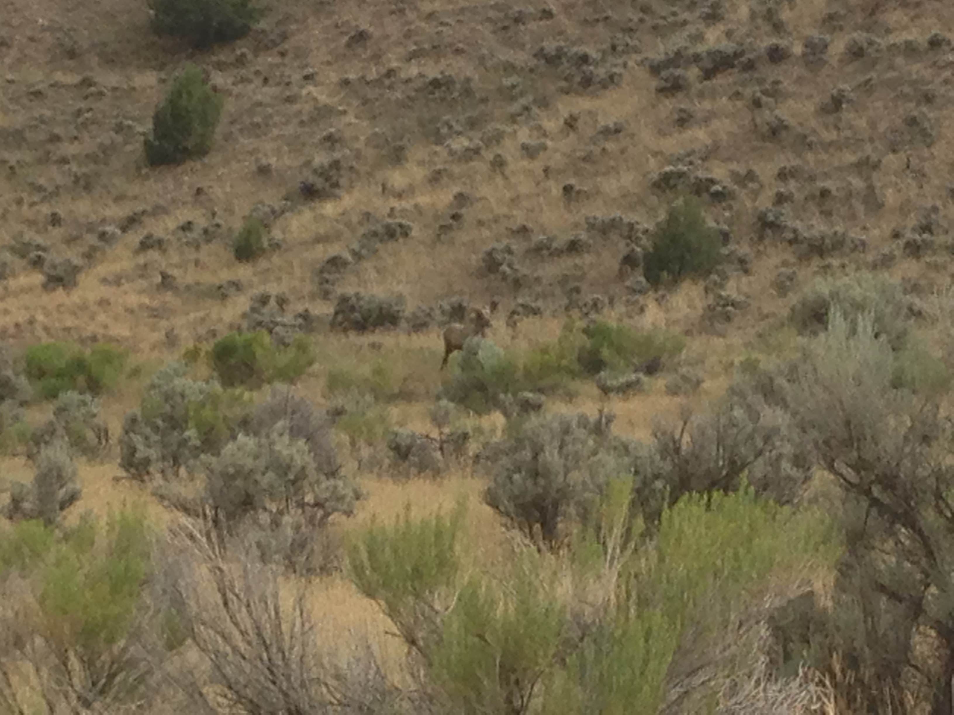 Flaming Gorge NRA Dispersed