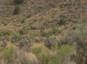 Flaming Gorge NRA Dispersed