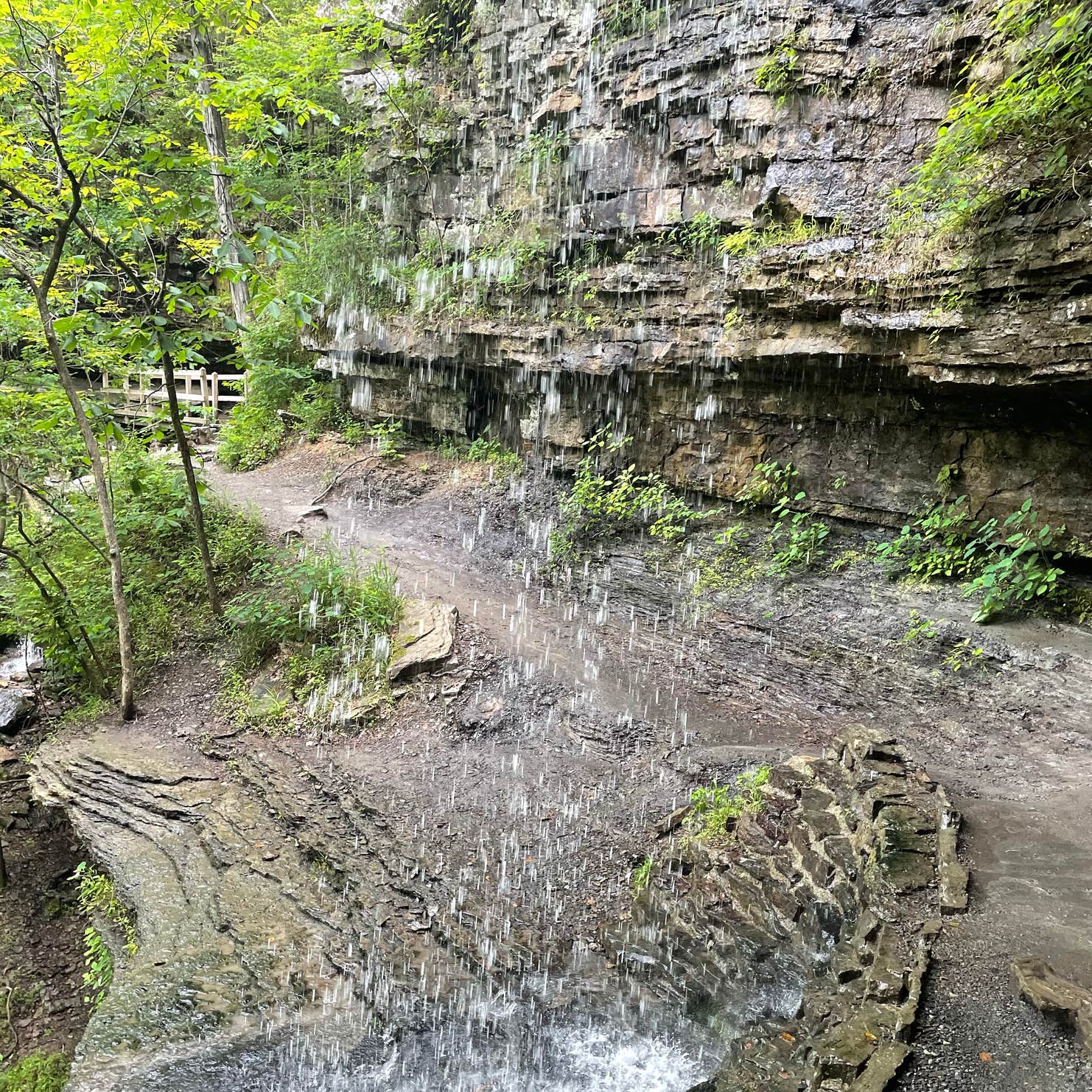 Devil's Den State Park | The Dyrt