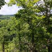 Review photo of Fiery Fork Conservation Area by Erick H., June 29, 2021