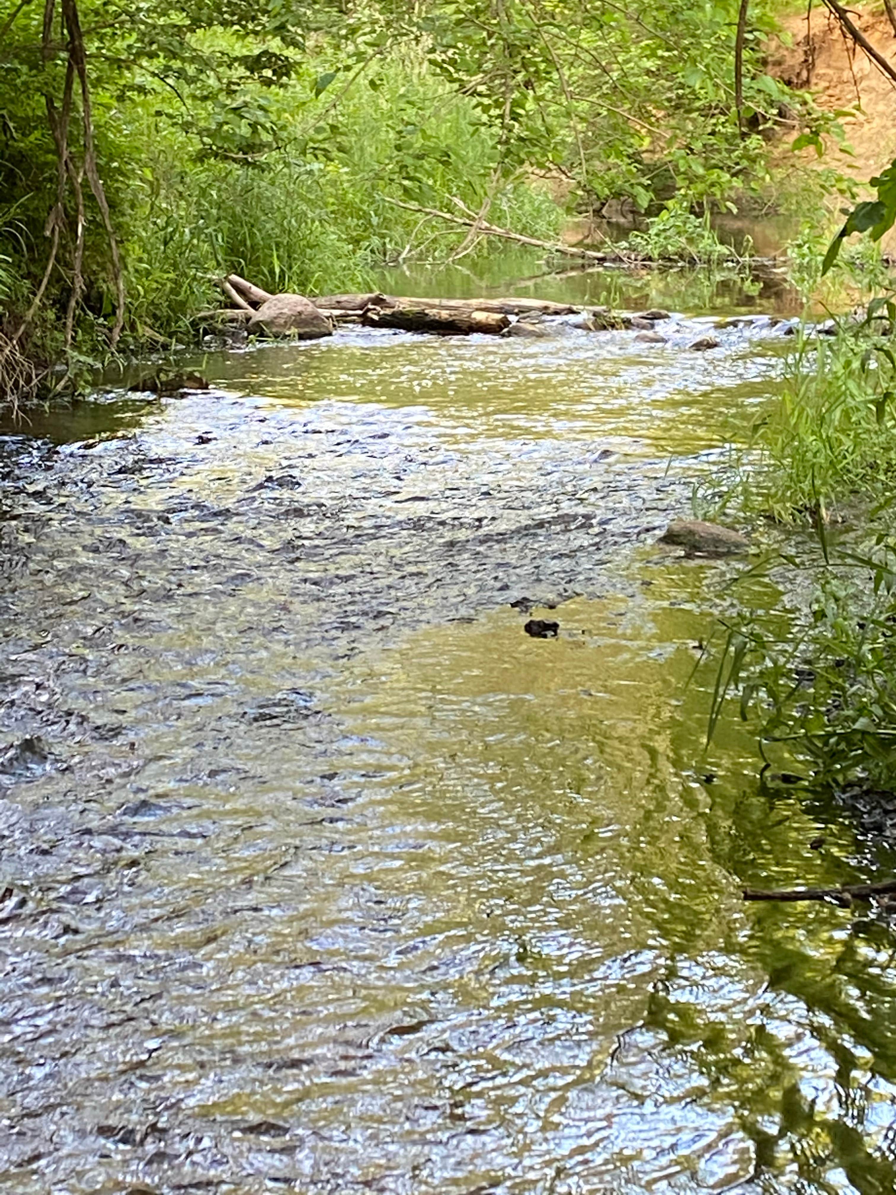 Thomas Mitchell Park - Mitchellville Iowa 