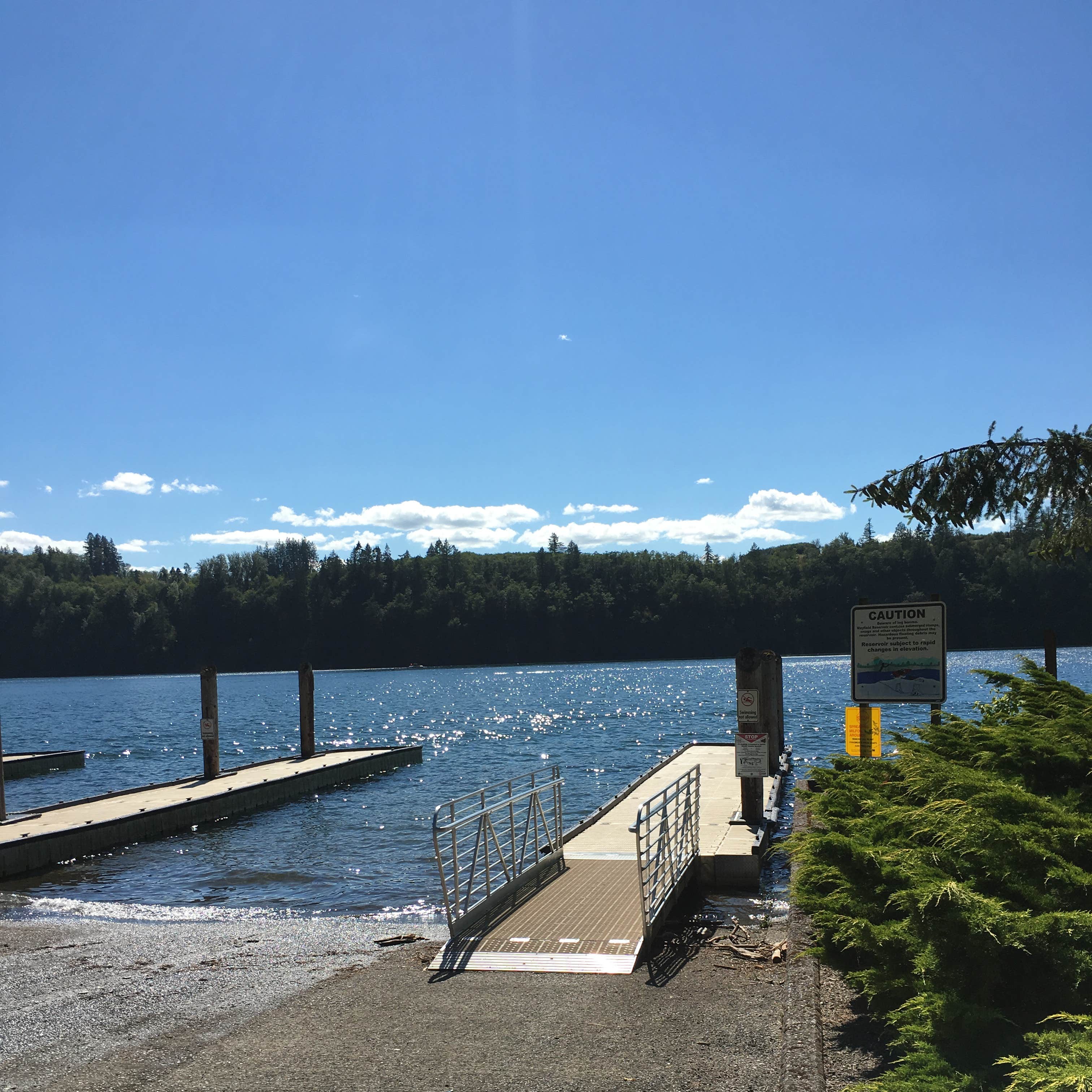 Mayfield Lake Park Camping The Dyrt