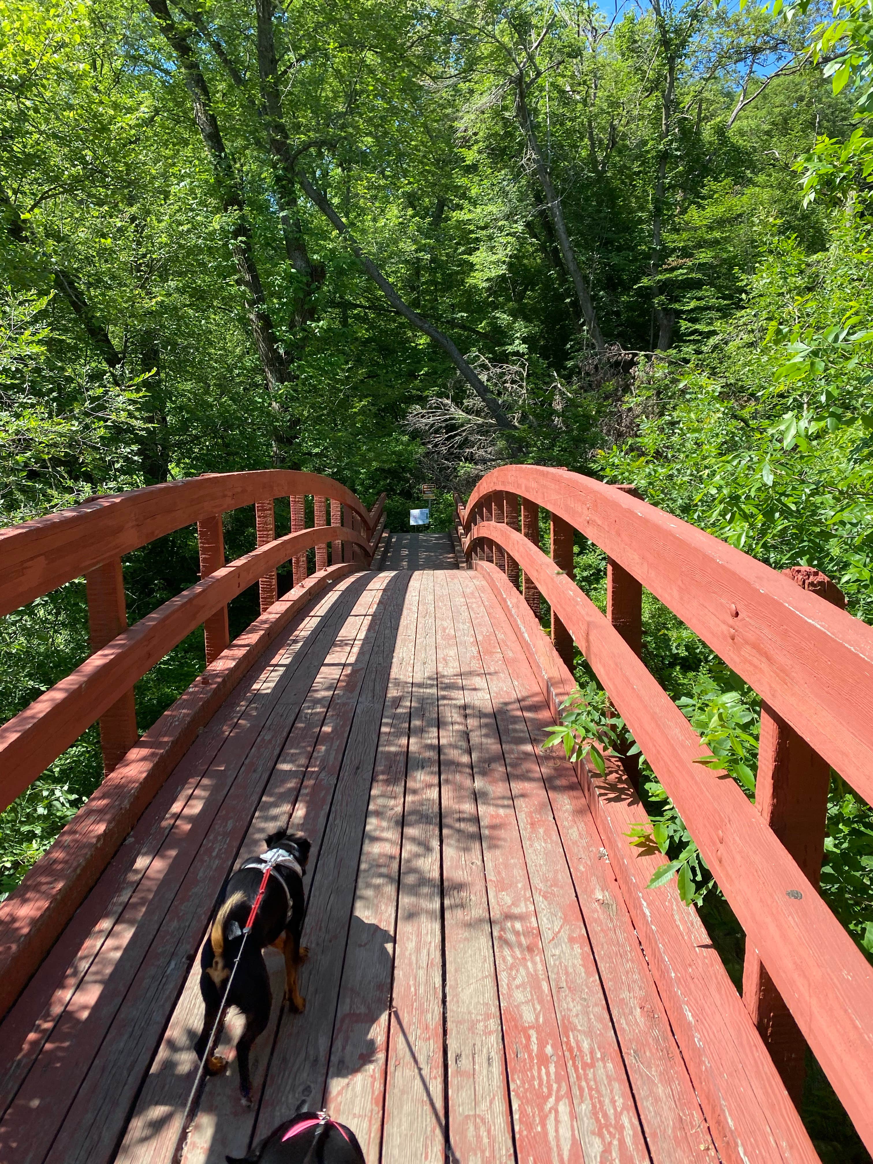 Shannon G.'s photo of camping with pets at Thomas Mitchell County Park near Ames, IA
