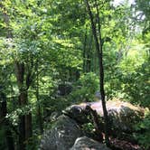 Review photo of Kentuck Campground — Ohiopyle State Park by Alyssa H., June 12, 2018