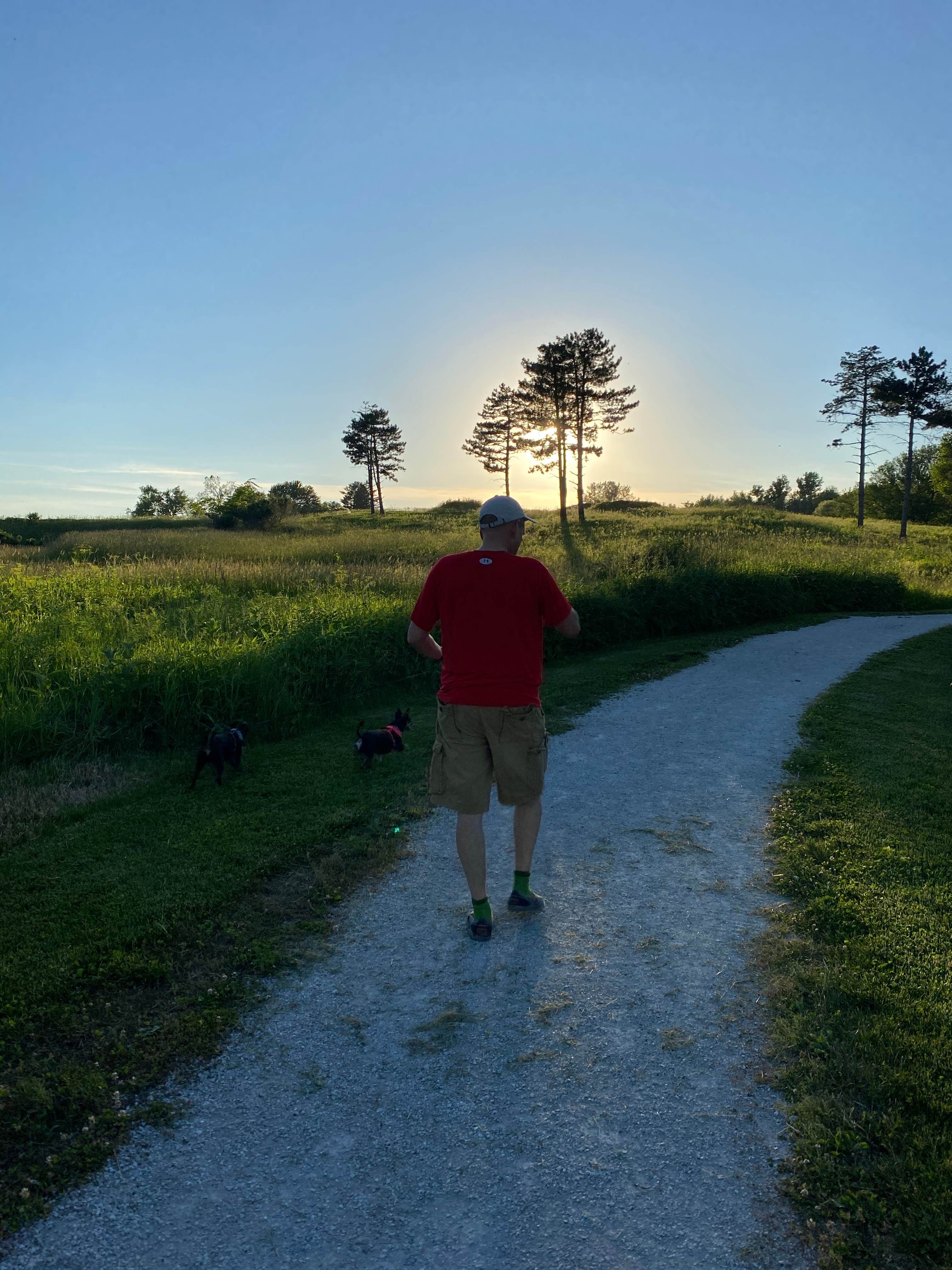 Thomas Mitchell Park - Campsite Photos