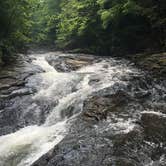 Review photo of Kentuck Campground — Ohiopyle State Park by Alyssa H., June 12, 2018