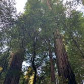 Review photo of Albee Creek Campground — Humboldt Redwoods State Park by Jacob , June 29, 2021