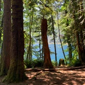 Review photo of Fairholme Campground — Olympic National Park by Teagen , June 29, 2021