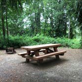 Review photo of Mayfield Lake Park by Colleen T., July 17, 2016