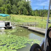 Review photo of Yellow Creek Campground — Yellow Creek State Park by Alyssa H., June 12, 2018