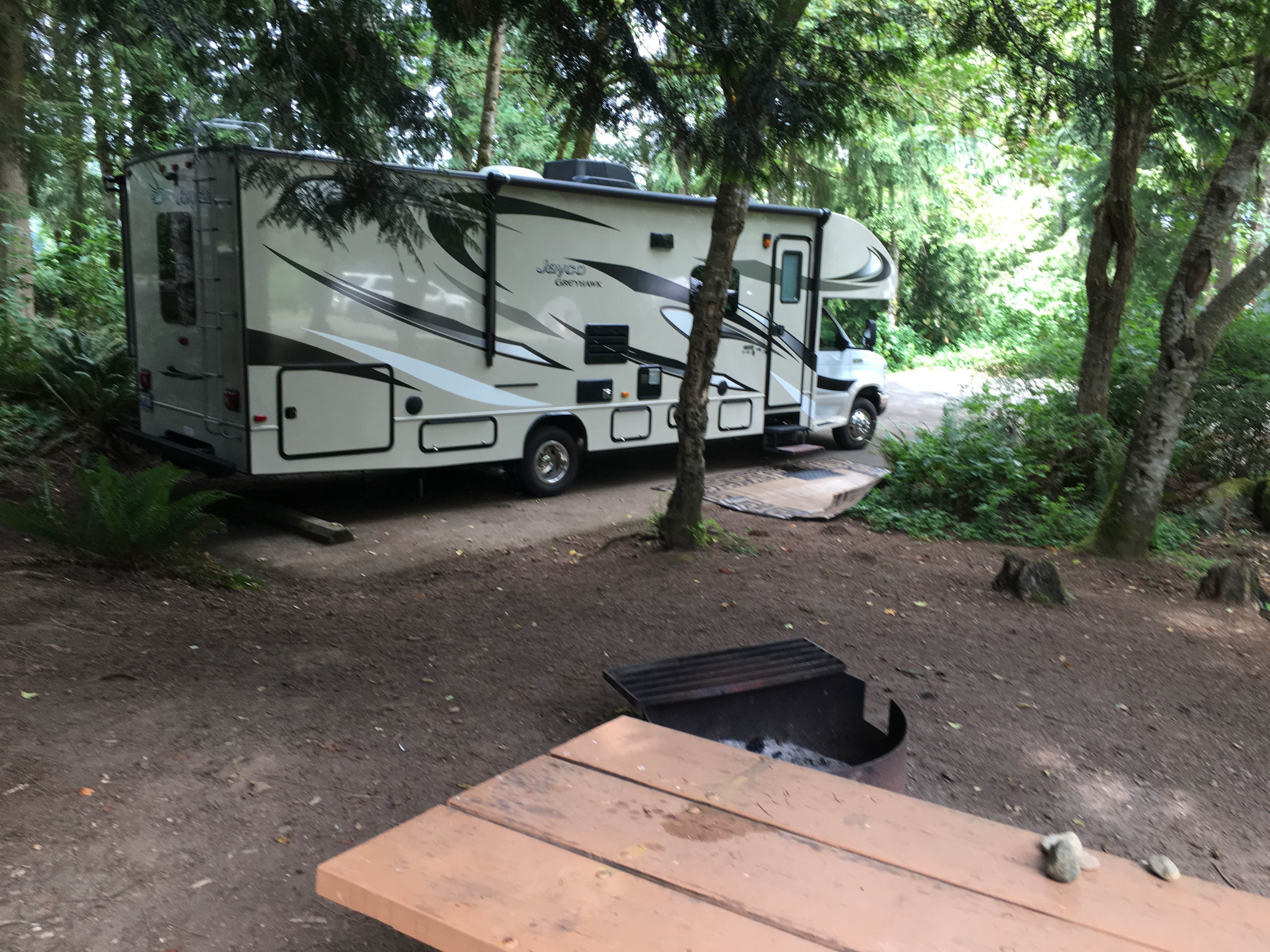 Camper submitted image from Mayfield Lake Park - 3