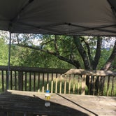 Review photo of Yellow Creek Campground — Yellow Creek State Park by Alyssa H., June 12, 2018