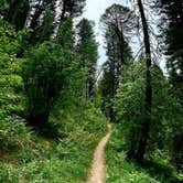 Review photo of Panchuela Campground and Trailhead by Naythin H., June 29, 2021