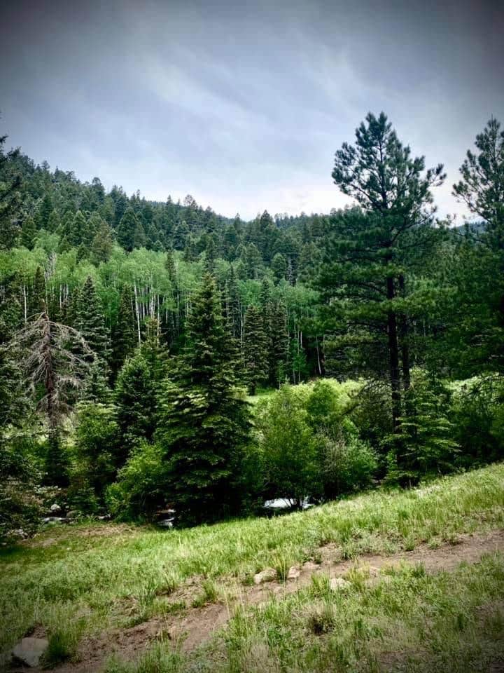Camper-submitted photo at Panchuela Campground and Trailhead near Las Vegas, NM