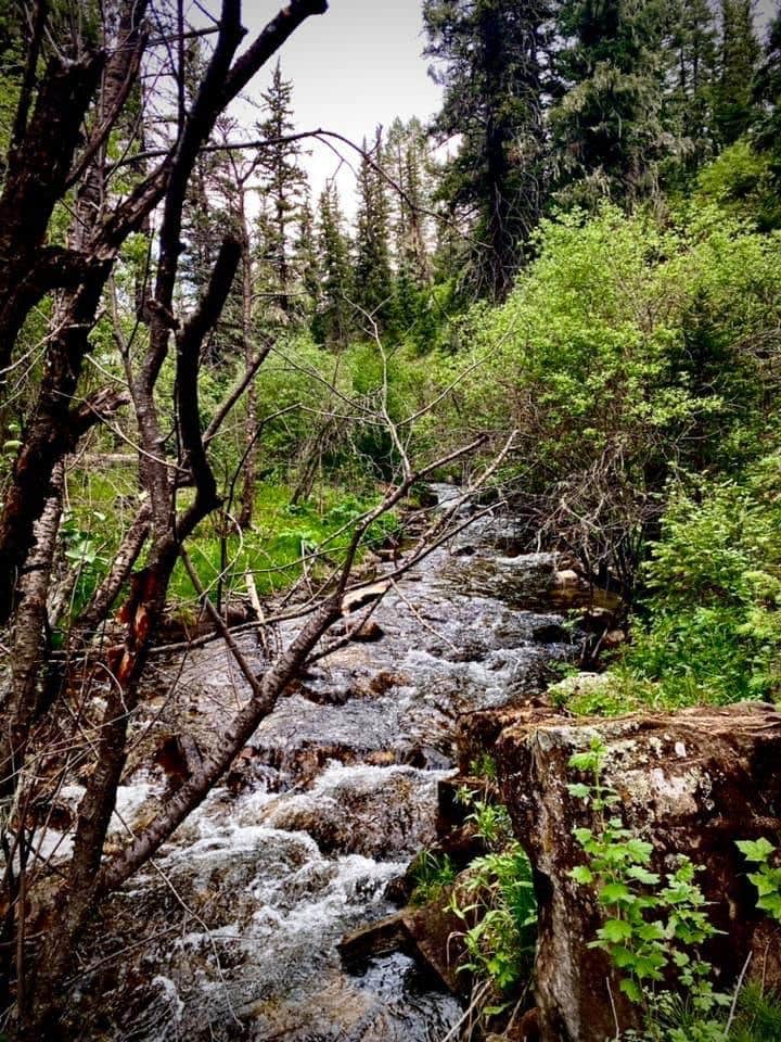 Camper-submitted photo at Panchuela Campground and Trailhead near Las Vegas, NM