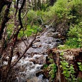 Review photo of Panchuela Campground and Trailhead by Naythin H., June 29, 2021