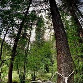 Review photo of Panchuela Campground and Trailhead by Naythin H., June 29, 2021