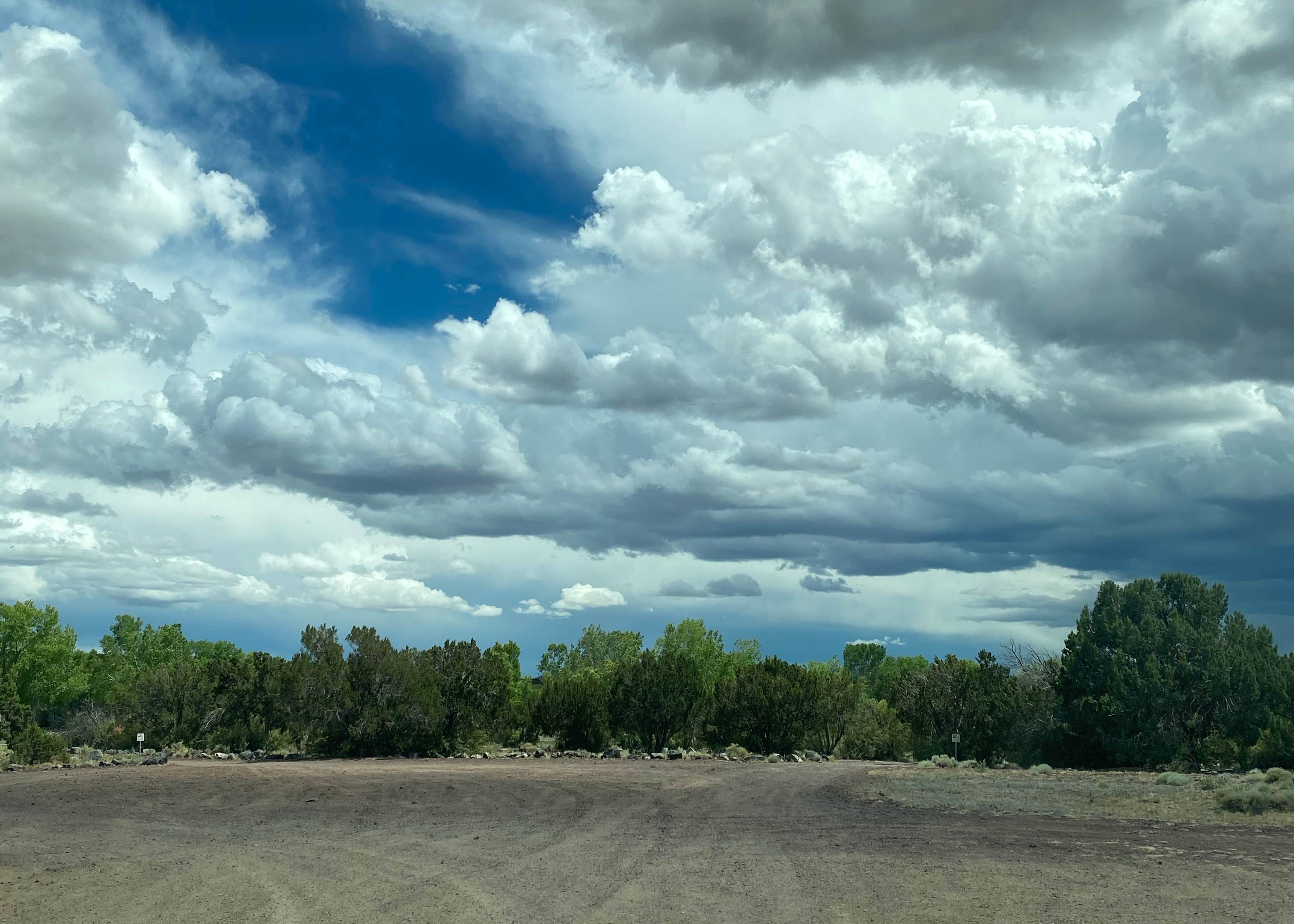 Concho lake Camping The Dyrt