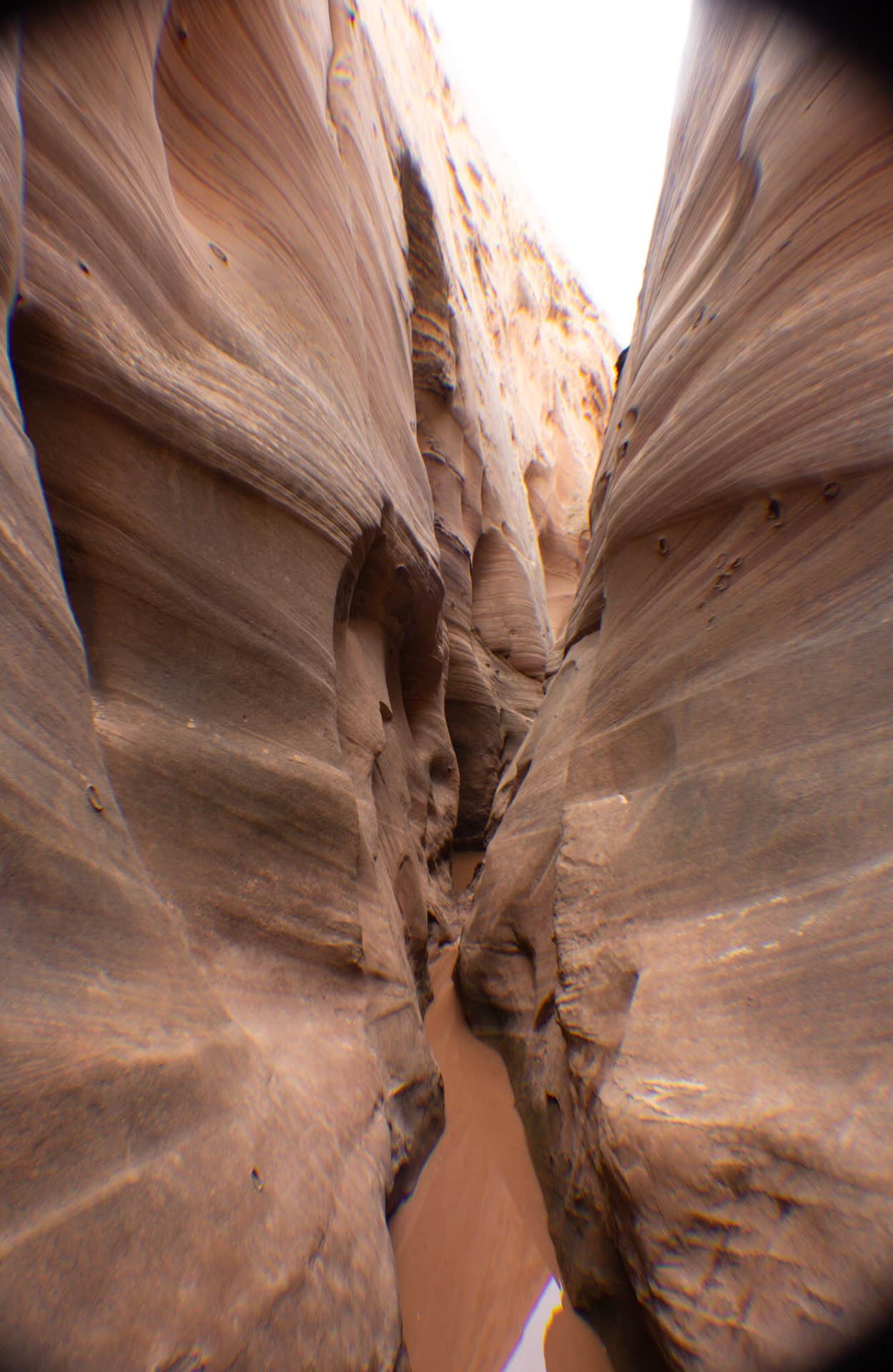 Camper-submitted photo at Harris Wash Dispersed near Escalante, UT