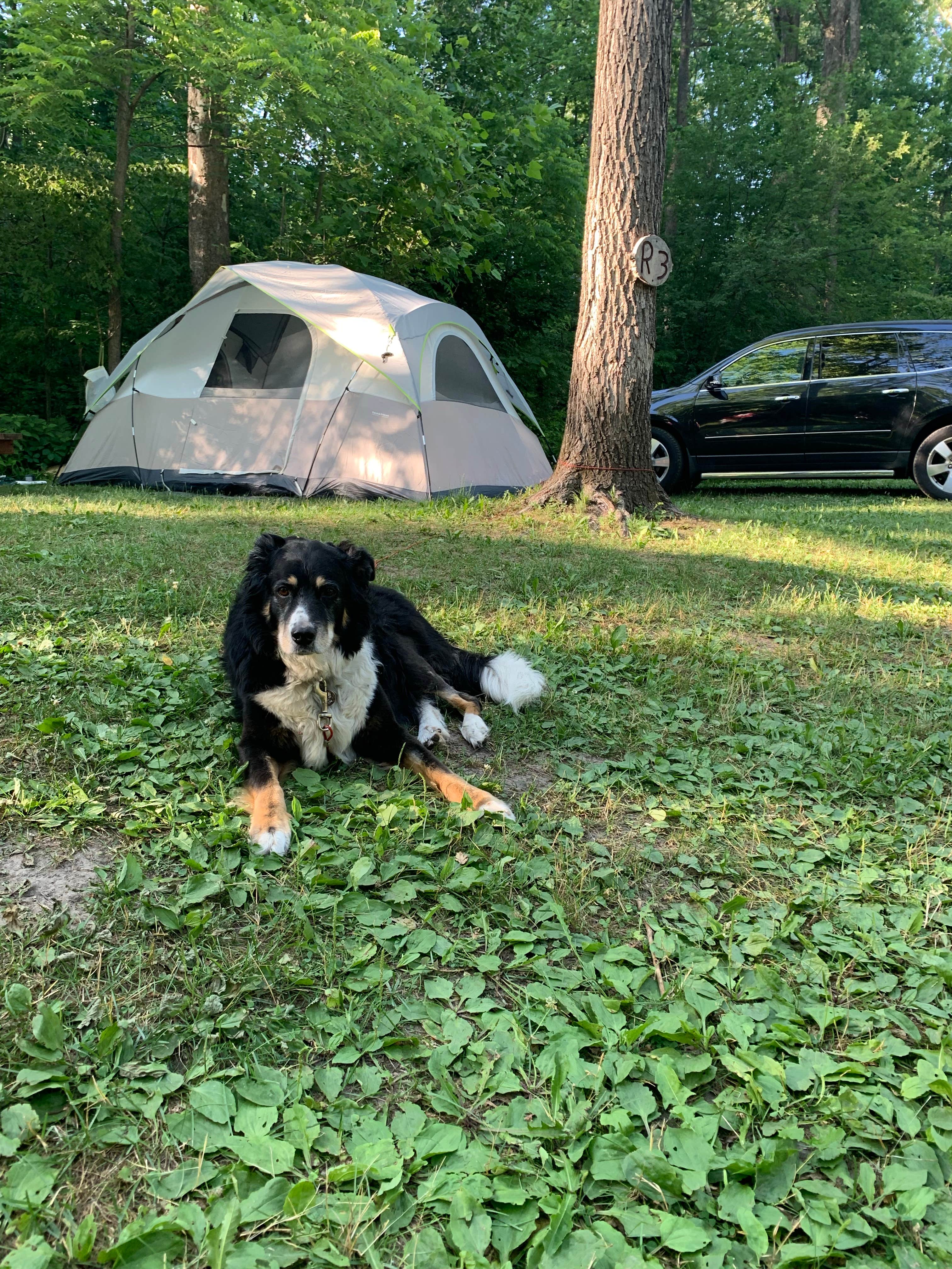 Camping near Cedar Springs Rv Resort: Mystery Creek Campground, Newaygo, Michigan