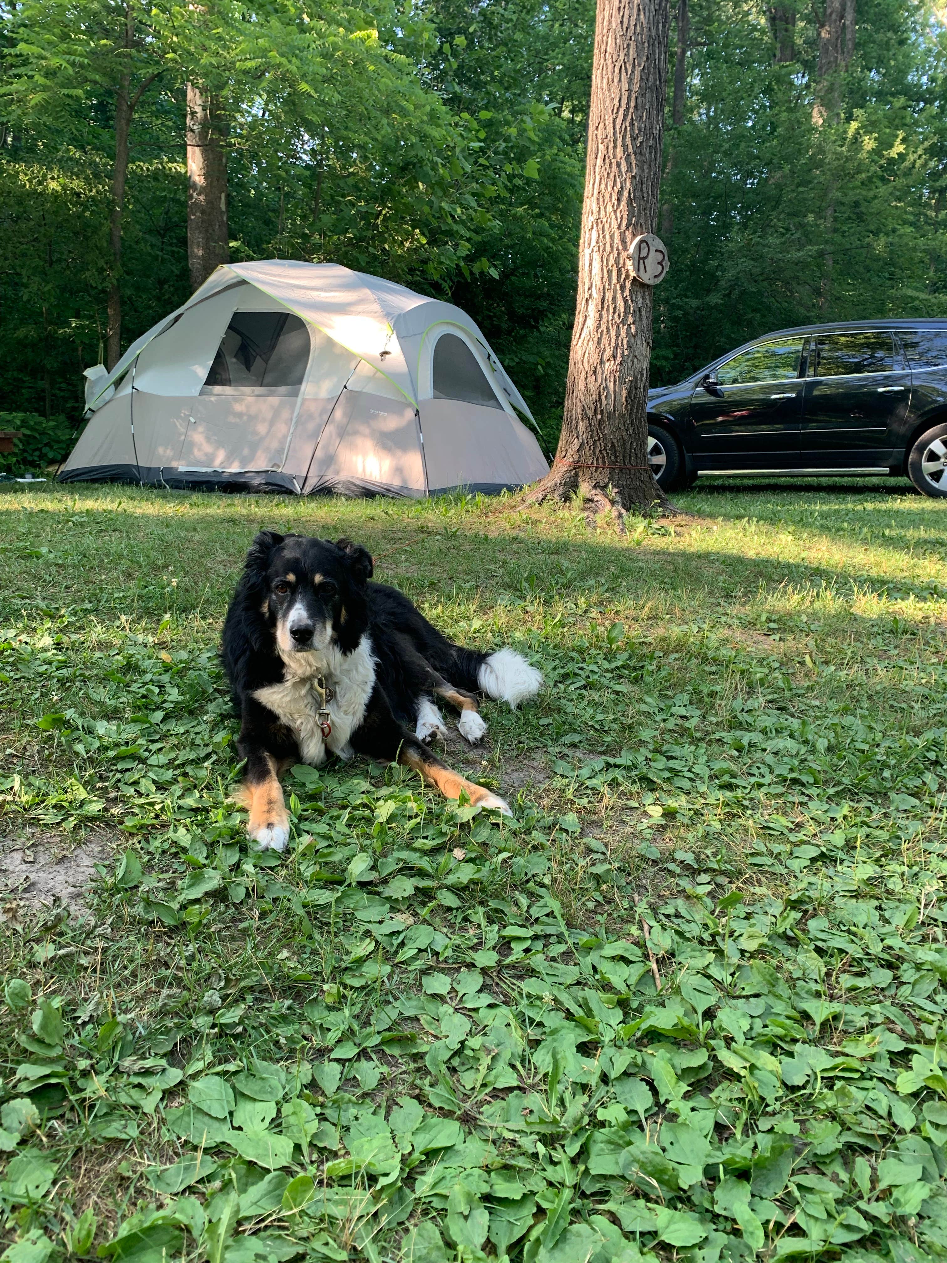 Camper submitted image from Mystery Creek Campground - 1