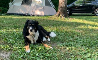 carrie's photo at Mystery Creek Campground near Sparta, MI