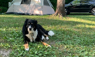 Camping near Johnson's Crossing Trail Camp: Mystery Creek Campground , Johannesburg, Michigan