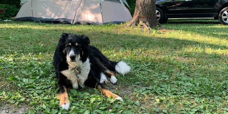 Camper submitted image from Mystery Creek Campground