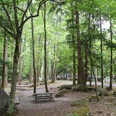 Review photo of Cosby Campground — Great Smoky Mountains National Park by Erin H., July 17, 2016
