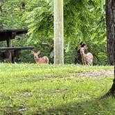 Review photo of Fall Creek Falls State Park Campground by Brett D., June 29, 2021